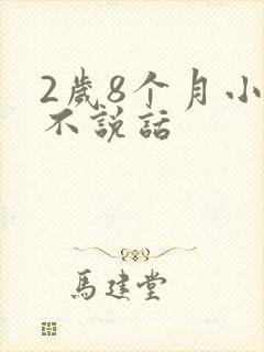 2岁8个月小孩不说话