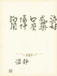 狗伤口感染化脓用什么药好得快