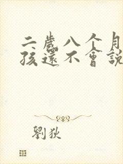 二岁八个月的男孩还不会说话