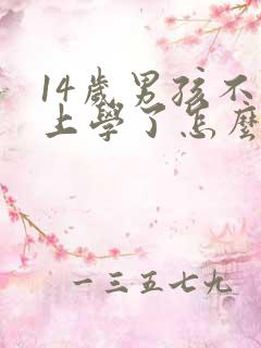 14岁男孩不想上学了怎么办