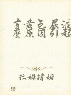 有黄色尿液是什么原因引起的