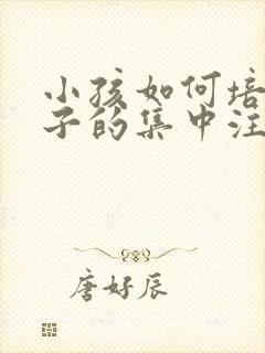 小孩如何培训孩子的集中注意力