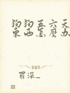 狗狗五六天不吃东西怎么办