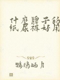 什么牌子的成人纸尿裤好用又透气实惠