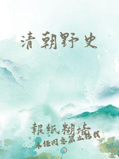清朝野史