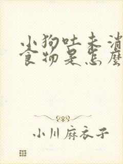 小狗吐未消化的食物是怎么回事