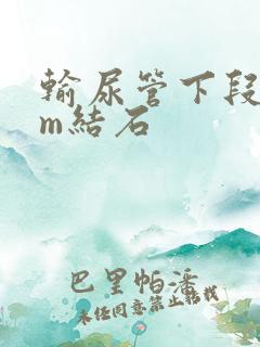 输尿管下段6mm结石