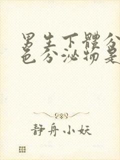 男生下体分泌白色分泌物是什么原因