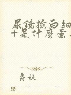 尿镜检白细胞1+是什么意思