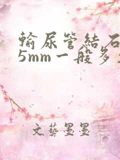 输尿管结石0.5mm一般多久能排出