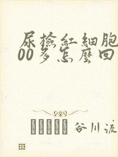 尿检红细胞4000多怎么回事