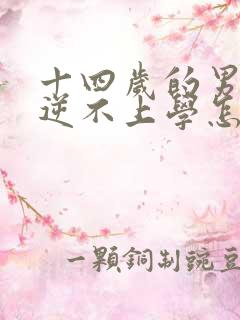 十四岁的男孩叛逆不上学怎么办