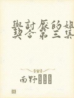 与讨厌的姐姐超契合第三集