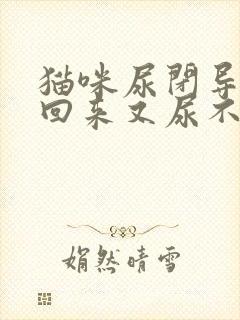 猫咪尿闭导完尿回来又尿不出来了