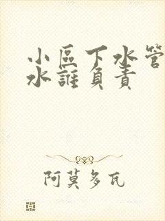 小区下水管道漏水谁负责