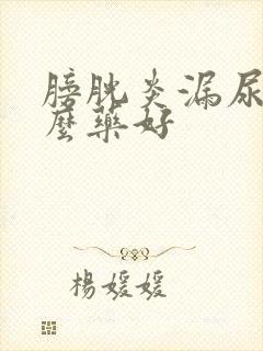 膀胱炎漏尿吃什么药好