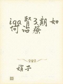 iga肾3期如何治疗