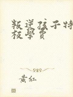 叛逆孩子特训学校学费