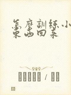 怎么训练小狗捡东西回来