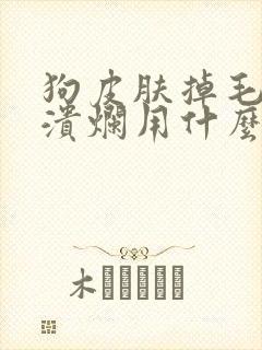 狗皮肤掉毛皮肤溃烂用什么药