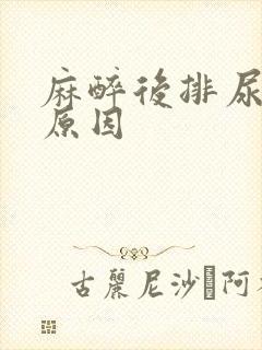 麻醉后排尿困难原因