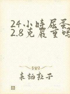 24小时尿蛋白2.8克严重吗