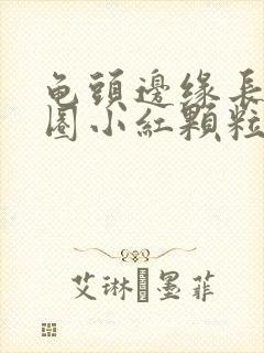 龟头边缘长了一圈小红颗粒