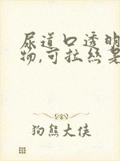 尿道口透明分泌物,可拉丝是怎么回事