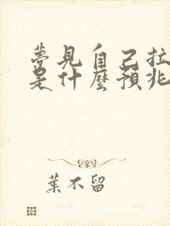 梦见自己拉大便是什么预兆男性