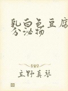 乳白色豆腐渣样分泌物