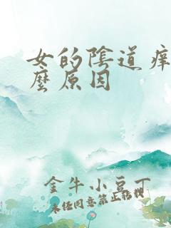 女的阴道痒是什么原因