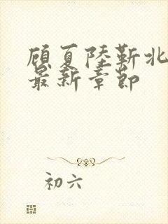 顾夏陆靳北小说最新章节