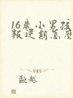 16岁小男孩的叛逆期怎么管