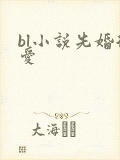 bl小说先婚后爱