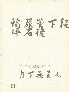 输尿管下段结石碎石后