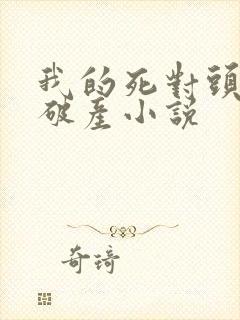 我的死对头终于破产小说