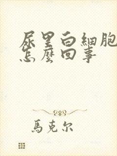 尿里白细胞高是怎么回事