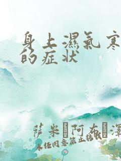 身上湿气寒气重的症状