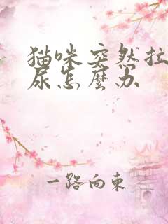 猫咪突然拉不出尿怎么办