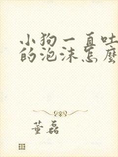 小狗一直吐白色的泡沫怎么办