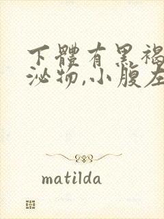 下体有黑褐色分泌物,小腹左侧有疼痛感