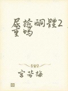 尿检酮体2 严重吗