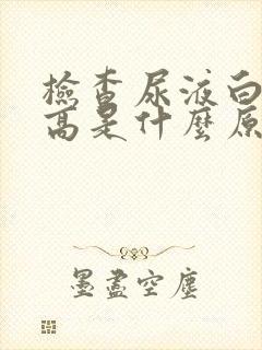 检查尿液白细胞高是什么原因