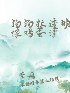 狗狗拉透明粘液像鸡蛋清