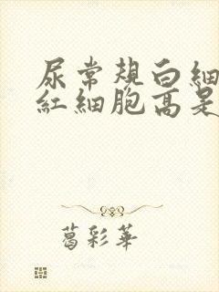 尿常规白细胞高红细胞高是怎么回事