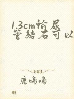 1.3cm输尿管结石可以体外碎石吗