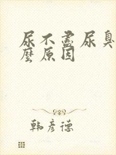 尿不尽尿臭是什么原因