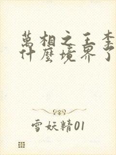 万相之王李洛到什么境界了