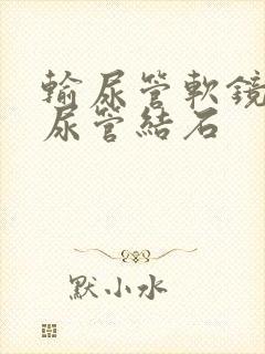 输尿管软镜取输尿管结石