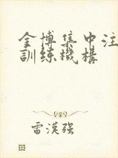 金博集中注意力训练机构